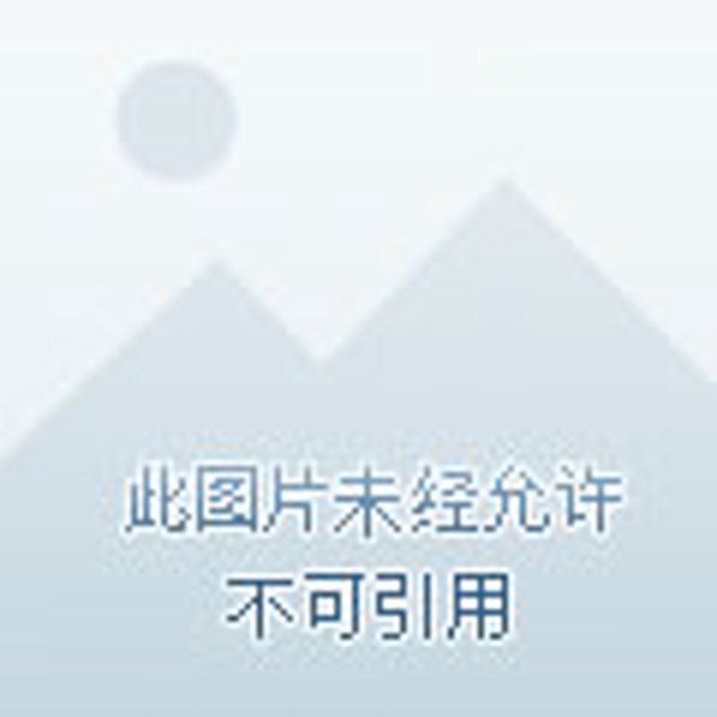 儿童动画发行